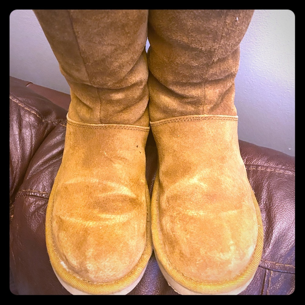 Tall Chestnut Ugg boots with zipper. Size 8